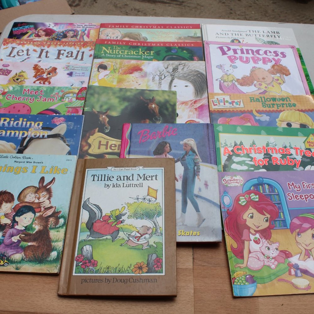 Children's Girls Book Lot 17 pc - Pre-K